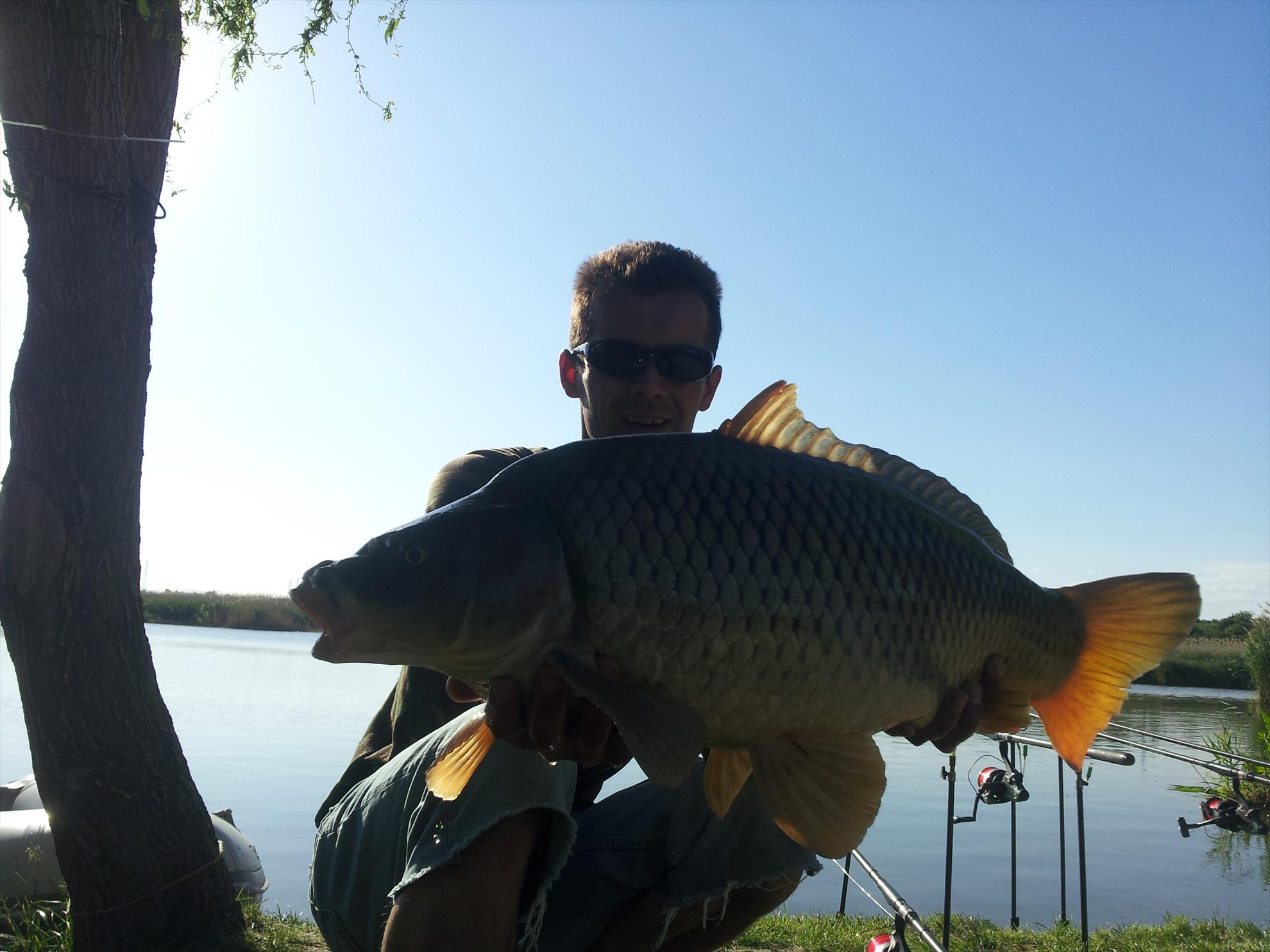 tancabesti 11-12'05''2013 - 20130512180428.jpg